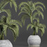 Plante en pot Collection 184 Palmier - rodolfoboscan911