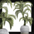 Plante en pot Collection 184 Palmier - rodolfoboscan911