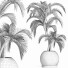 Plante en pot Collection 184 Palmier - rodolfoboscan911