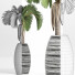Topfpflanze Sammlung 183 Palme - rodolfoboscan911