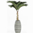 Plante en pot Collection 182 Palmier - rodolfoboscan911