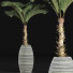Plante en pot Collection 182 Palmier - rodolfoboscan911