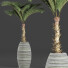Plante en pot Collection 182 Palmier - rodolfoboscan911