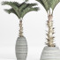 Plante en pot Collection 182 Palmier - rodolfoboscan911