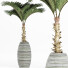 Plante en pot Collection 182 Palmier - rodolfoboscan911