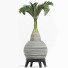 Plante en pot Collection 181 Palmier - rodolfoboscan911