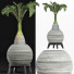 Plante en pot Collection 181 Palmier - rodolfoboscan911