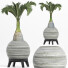 Plante en pot Collection 181 Palmier - rodolfoboscan911