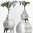 Plante en pot Collection 181 Palmier - rodolfoboscan911
