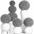 Topfpflanzen Buchsbaumbaum Topiary Indoor Set 221 - rodolfoboscan911