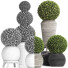 Topfpflanzen Buchsbaumbaum Topiary Indoor Set 221 - rodolfoboscan911