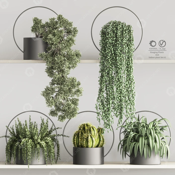 3D model Potted Plants Hanging and Indoor Set 61