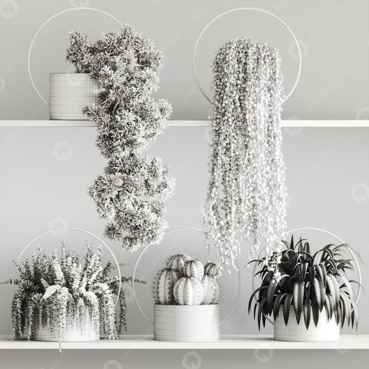 3D model Potted Plants Hanging and Indoor Set 61