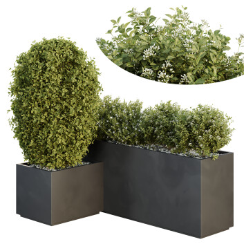 Drzewa i krzewy HQ Garden Box Outdoor Vol 47