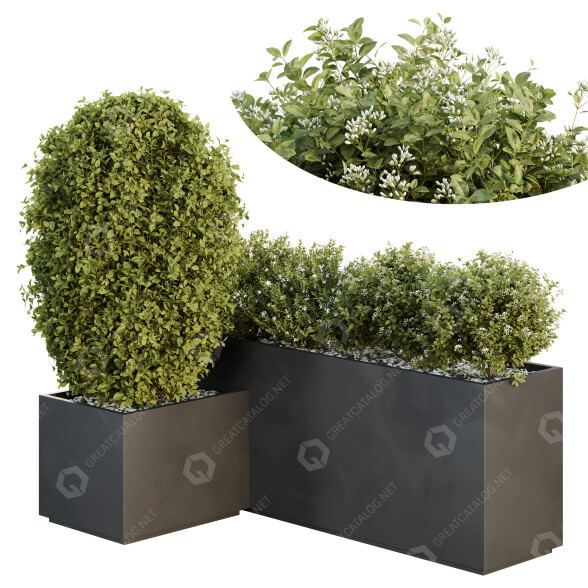 Arbres et buissons HQ Boîte de Jardin Extérieur Volume 47 modèle 3D
