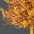Drzewa HQ Acer X Freemanii Freeman Maple Sapindaceae Umbrella Set 02 - Pandora-land