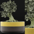 Bonsai-Baum Kollektion 123 Mini - rodolfoboscan911