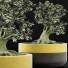 Bonsai-Baum Kollektion 123 Mini - rodolfoboscan911