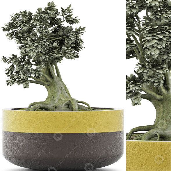Bonsai-Baum Kollektion 123 Mini 3D-Modell