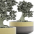 Bonsai-Baum Kollektion 123 Mini - rodolfoboscan911