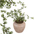 Roślina doniczkowa West Elm Faux Wire Netting Bush - AnimixStudio
