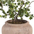 Roślina doniczkowa West Elm Faux Wire Netting Bush - AnimixStudio