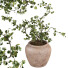 Roślina doniczkowa West Elm Faux Wire Netting Bush - AnimixStudio