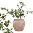 Roślina doniczkowa West Elm Faux Wire Netting Bush - AnimixStudio