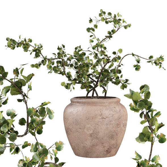 Roślina doniczkowa West Elm Faux Wire Netting Bush model 3D