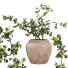 Roślina doniczkowa West Elm Faux Wire Netting Bush - AnimixStudio
