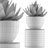 Topfpflanze Kollektion 118 Agave - rodolfoboscan911