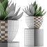 Topfpflanze Kollektion 118 Agave - rodolfoboscan911