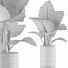 Potted Plant Collection 82 Alocasia - rodolfoboscan911