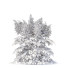Blumen Prachtspiere - valeriy korol ld