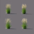 Gras Reitgras karl foerster - valeriy korol ld