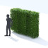 Hecke Hainbuche - valeriy korol ld