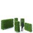 Hecke Hainbuche - valeriy korol ld