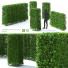 Hecke Hainbuche - valeriy korol ld
