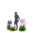 Blumen Rittersporn hybride - valeriy korol ld
