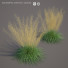Gras Rasen-Schmiele goldtau - valeriy korol ld