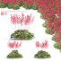 Blumen Purpurglöckchen brizoides feuerregen - valeriy korol ld