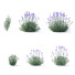Blumen Lavendel angustifolia - valeriy korol ld