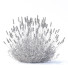 Blumen Lavendel angustifolia - valeriy korol ld