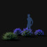 Arbustos Nepeta fassenii - valeriy korol ld