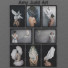 Kino Amy Judd Art - Asti