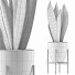 Topfpflanze Kollektion 104 Agave - rodolfoboscan911