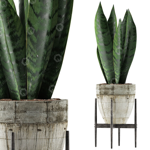 Topfpflanze Kollektion 104 Agave 3D-Modell