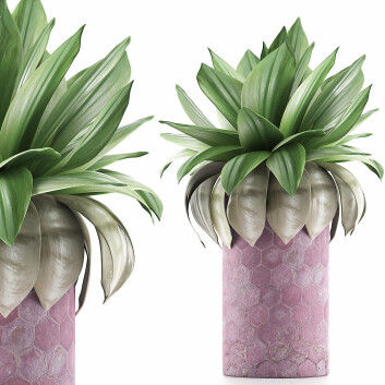 Topfpflanze  Kollektion 101 Agave 3D-Modell
