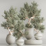 Bonsai-Baum Innenset Zimmerpflanzen 64 - Haniezzatpur