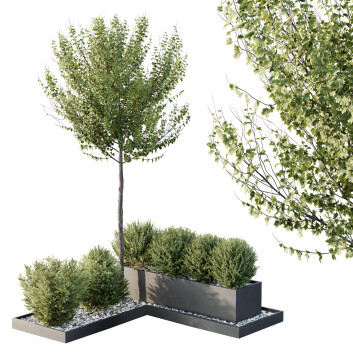 Arboles y arbustos HQ Caja de Jardín Exterior Volumen 48